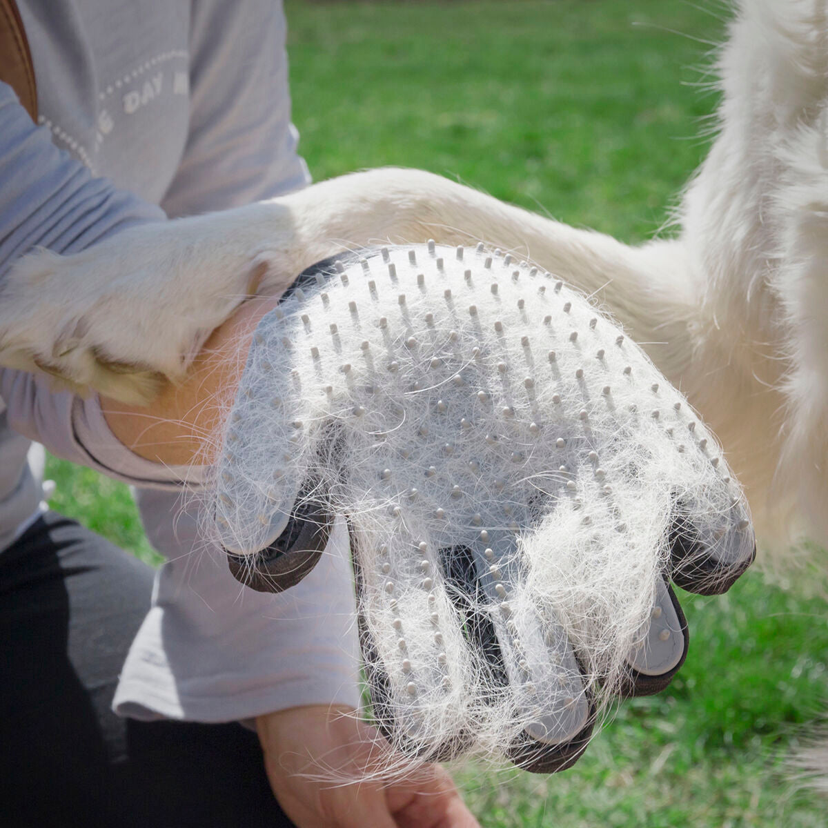 Guante para Cepillar y Masajear Mascotas Relpet InnovaGoods