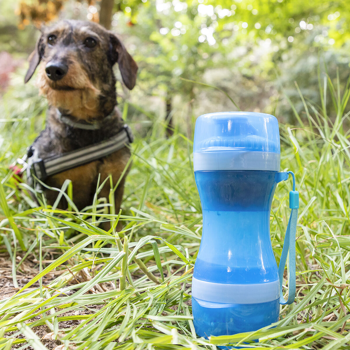 Botella con Depósito de Agua y Comida para Mascotas 2 en 1 Pettap InnovaGoods